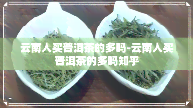 云南人买普洱茶的多吗-云南人买普洱茶的多吗知乎