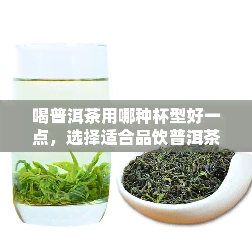 喝普洱茶用哪种杯型好一点，选择适合品饮普洱茶的杯型，你选对了吗？