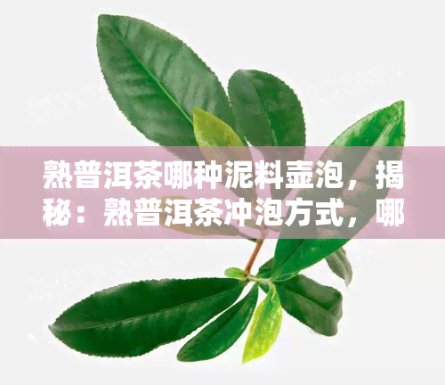 熟普洱茶哪种泥料壶泡，揭秘：熟普洱茶冲泡方式，哪种泥料壶更胜一筹？