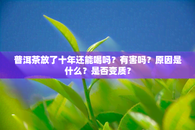 普洱茶放了十年还能喝吗？有害吗？原因是什么？是否变质？