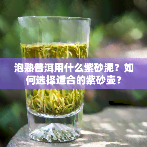 泡熟普洱用什么紫砂泥？如何选择适合的紫砂壶？