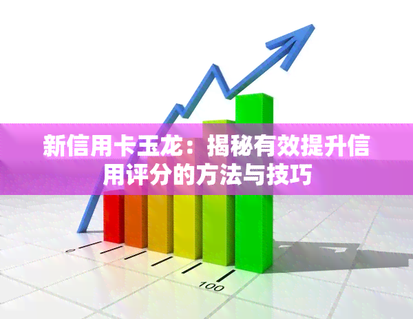 新信用卡玉龙：揭秘有效提升信用评分的方法与技巧