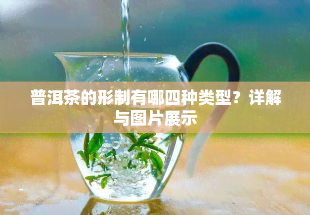 普洱茶的形制有哪四种类型？详解与图片展示