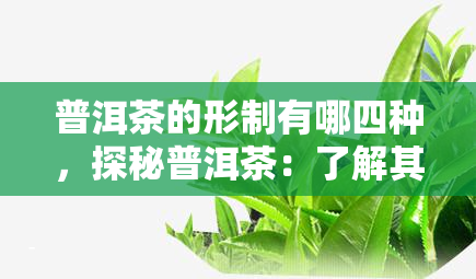 普洱茶的形制有哪四种，探秘普洱茶：了解其四种形制