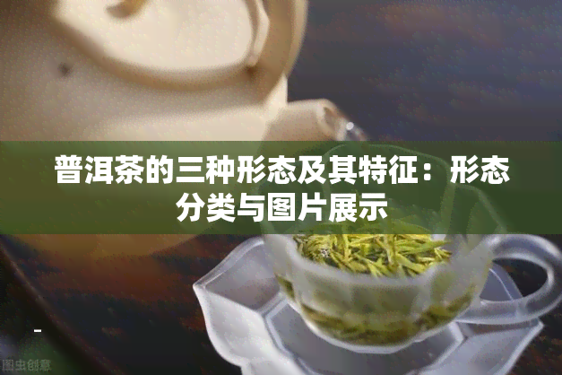 普洱茶的三种形态及其特征：形态分类与图片展示