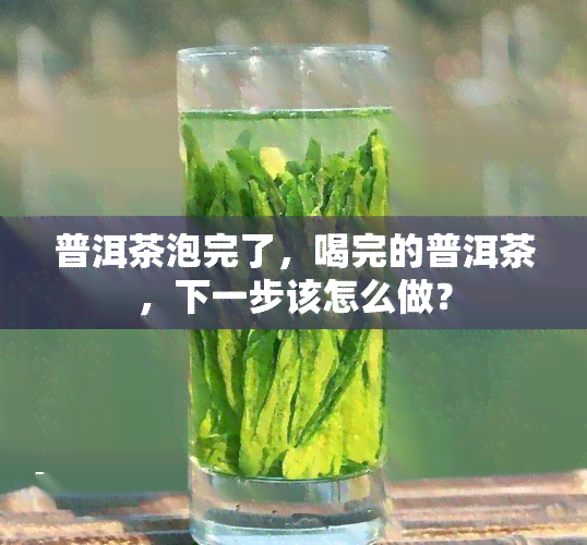 普洱茶泡完了，喝完的普洱茶，下一步该怎么做？