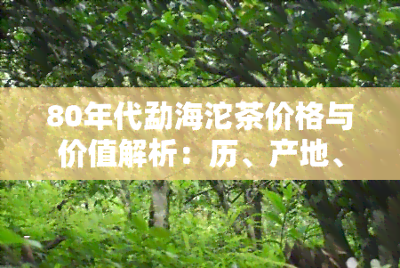 80年代勐海沱茶价格与价值解析：历、产地、品种及收藏价值全面揭秘