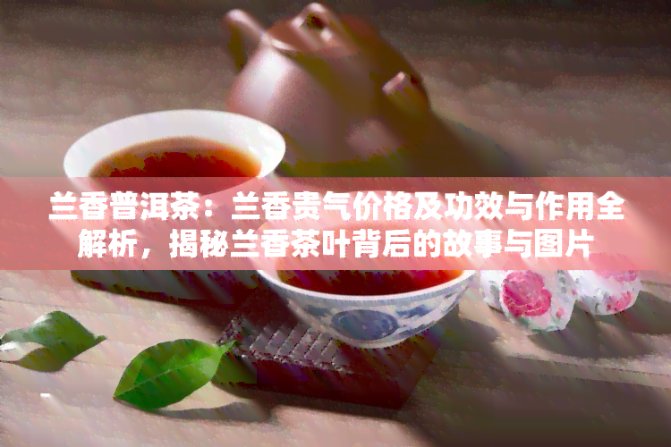 兰香普洱茶：兰香贵气价格及功效与作用全解析，揭秘兰香茶叶背后的故事与图片