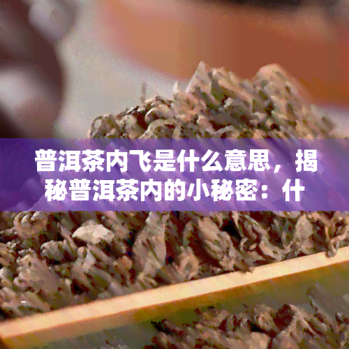 普洱茶内飞是什么意思，揭秘普洱茶内的小秘密：什么是“内飞”？