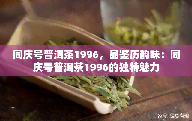 同庆号普洱茶1996，品鉴历韵味：同庆号普洱茶1996的独特魅力