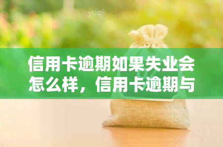 信用卡逾期如果失业会怎么样，信用卡逾期与失业：可能会面临的后果