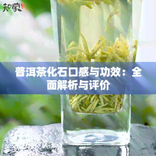 普洱茶化石口感与功效：全面解析与评价