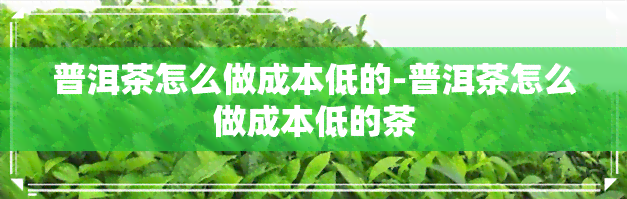 普洱茶怎么做成本低的-普洱茶怎么做成本低的茶