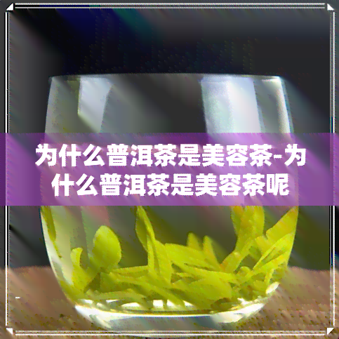 为什么普洱茶是美容茶-为什么普洱茶是美容茶呢