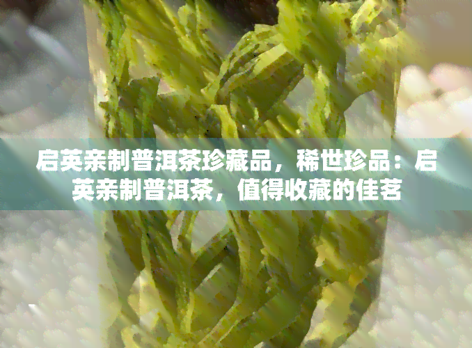 启英亲制普洱茶珍藏品，稀世珍品：启英亲制普洱茶，值得收藏的佳茗