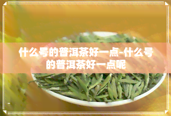 什么号的普洱茶好一点-什么号的普洱茶好一点呢