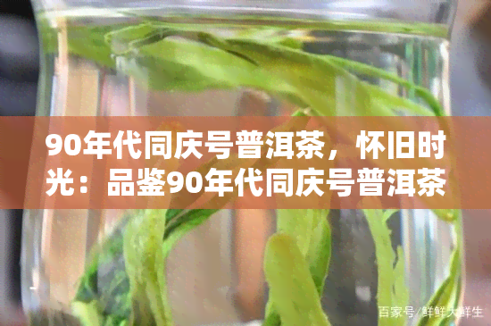 90年代同庆号普洱茶，怀旧时光：品鉴90年代同庆号普洱茶的独特韵味