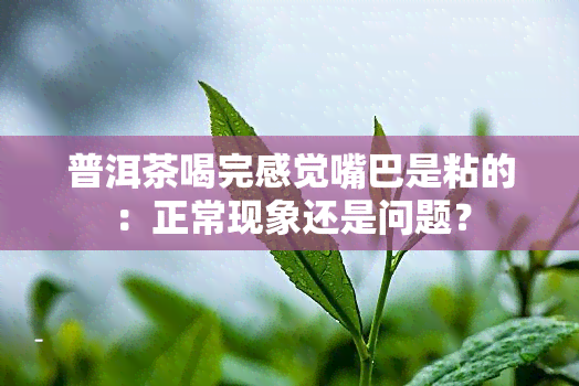 普洱茶喝完感觉嘴巴是粘的：正常现象还是问题？