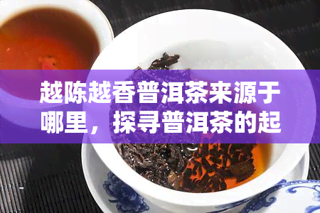 越陈越香普洱茶来源于哪里，探寻普洱茶的起源：为何越陈越香？