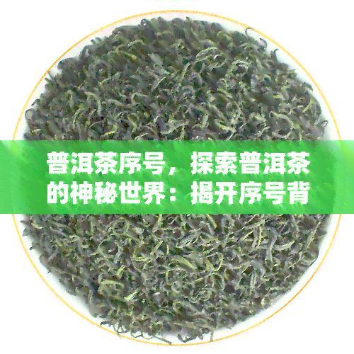 普洱茶序号，探索普洱茶的神秘世界：揭开序号背后的故事