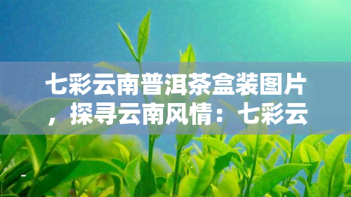 七彩云南普洱茶盒装图片，探寻云南风情：七彩云南普洱茶盒装图片欣