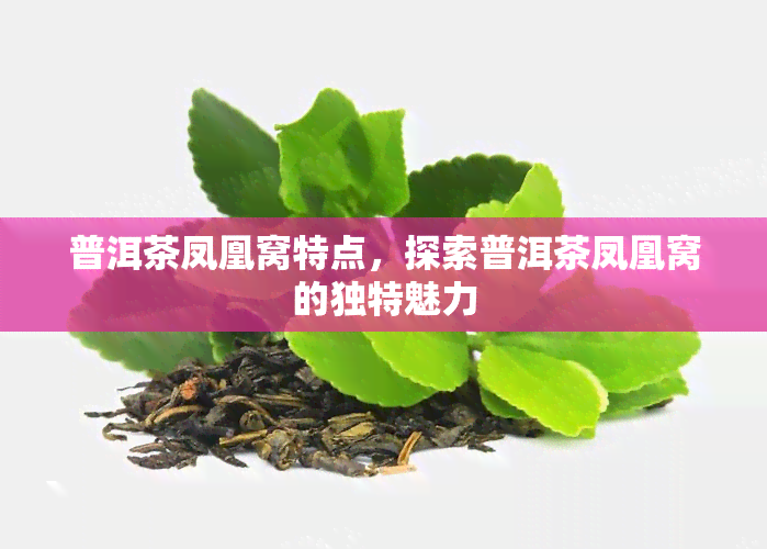 普洱茶凤凰窝特点，探索普洱茶凤凰窝的独特魅力