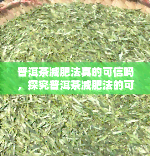 普洱茶减肥法真的可信吗，探究普洱茶减肥法的可信度：科学依据与实际效果