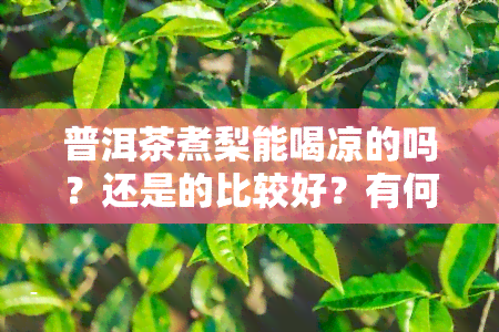 普洱茶煮梨能喝凉的吗？还是的比较好？有何功效，能减肥吗？需要煮多久？