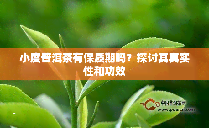 小度普洱茶有保质期吗？探讨其真实性和功效