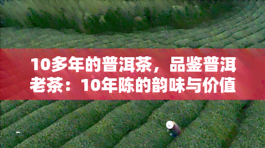 10多年的普洱茶，品鉴普洱老茶：10年陈的韵味与价值