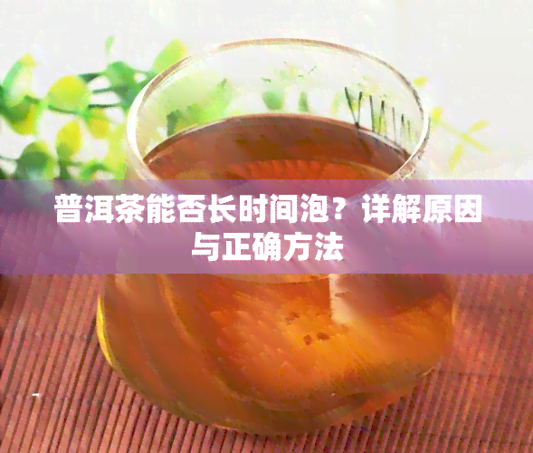 普洱茶能否长时间泡？详解原因与正确方法