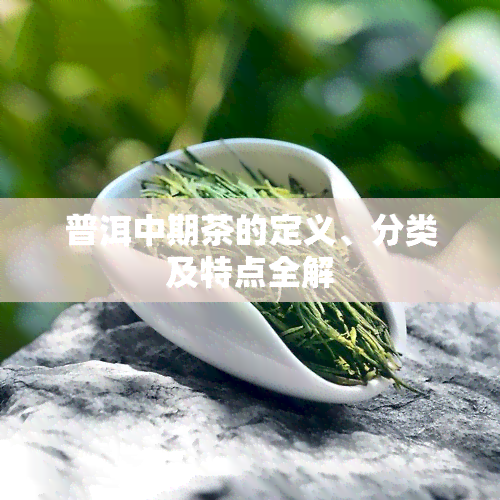 普洱中期茶的定义、分类及特点全解