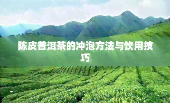 陈皮普洱茶的冲泡方法与饮用技巧