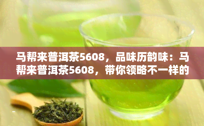 马帮来普洱茶5608，品味历韵味：马帮来普洱茶5608，带你领略不一样的茶文化