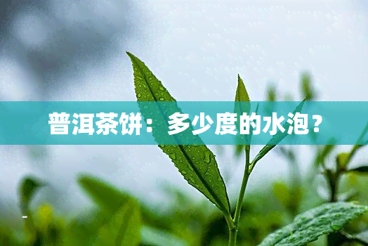 普洱茶饼：多少度的水泡？