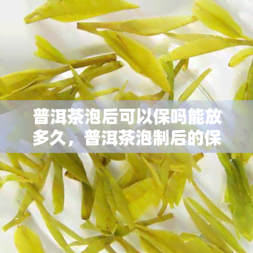 普洱茶泡后可以保吗能放多久，普洱茶泡制后的保时间和存放期限解析