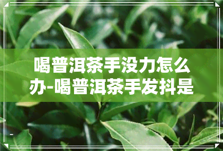 喝普洱茶手没力怎么办-喝普洱茶手发抖是怎么回事