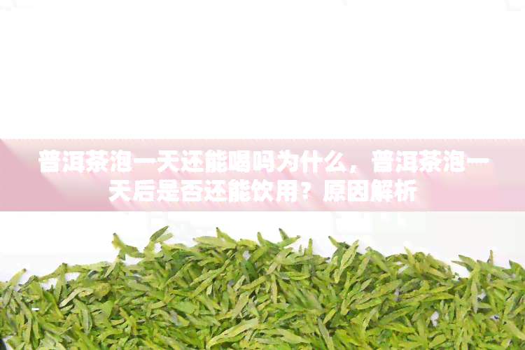 普洱茶泡一天还能喝吗为什么，普洱茶泡一天后是否还能饮用？原因解析