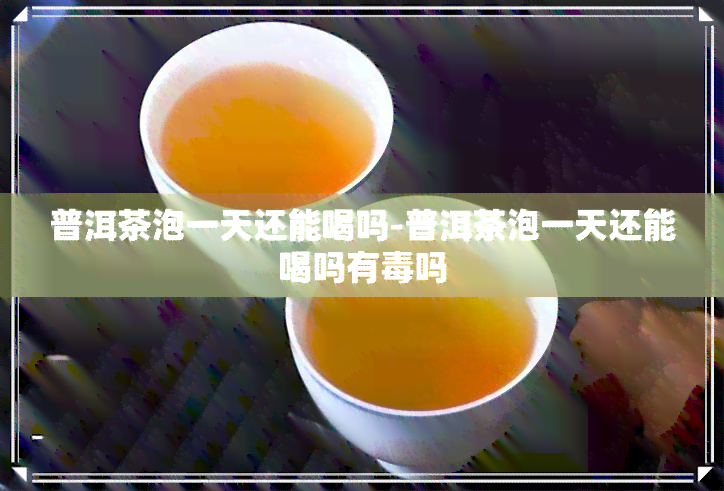 普洱茶泡一天还能喝吗-普洱茶泡一天还能喝吗有吗