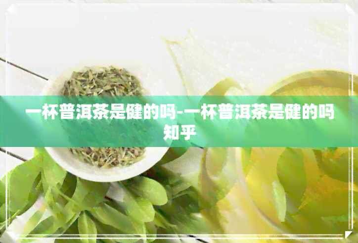 一杯普洱茶是健的吗-一杯普洱茶是健的吗知乎