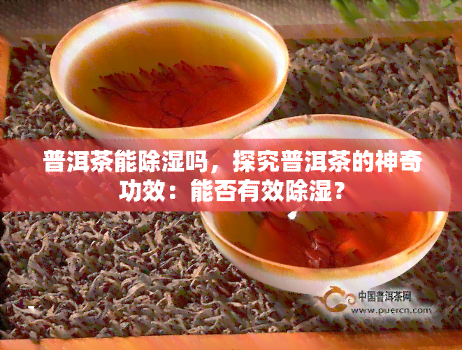 普洱茶能除湿吗，探究普洱茶的神奇功效：能否有效除湿？