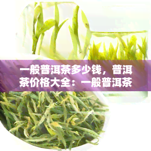 一般普洱茶多少钱，普洱茶价格大全：一般普洱茶多少钱？