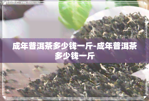 成年普洱茶多少钱一斤-成年普洱茶多少钱一斤