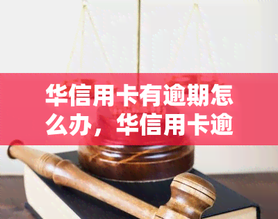 华信用卡有逾期怎么办，华信用卡逾期处理方法全攻略