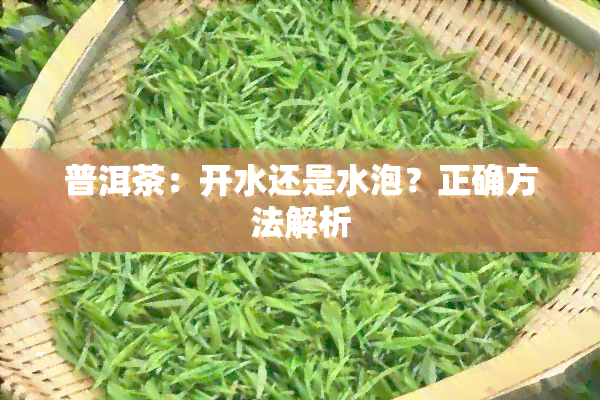 普洱茶：开水还是水泡？正确方法解析