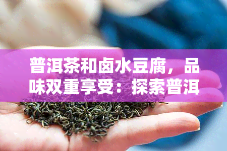 普洱茶和卤水豆腐，品味双重享受：探索普洱茶与卤水豆腐的完美搭配