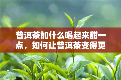 普洱茶加什么喝起来甜一点，如何让普洱茶变得更甜？添加这些食材就对了！