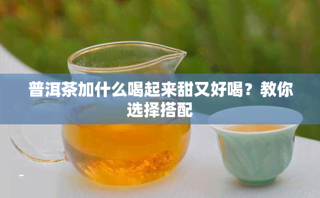 普洱茶加什么喝起来甜又好喝？教你选择搭配