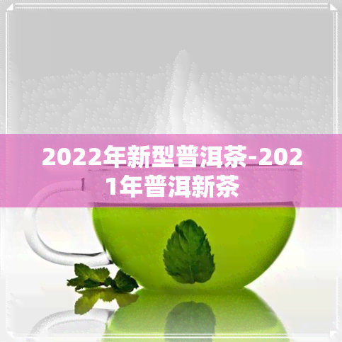 2022年新型普洱茶-2021年普洱新茶