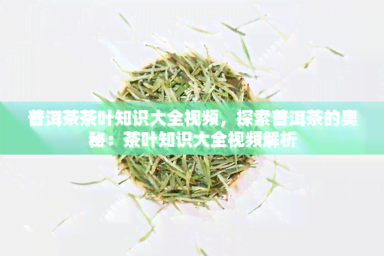 普洱茶茶叶知识大全视频，探索普洱茶的奥秘：茶叶知识大全视频解析